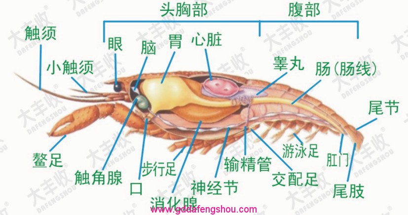 圖片關鍵詞